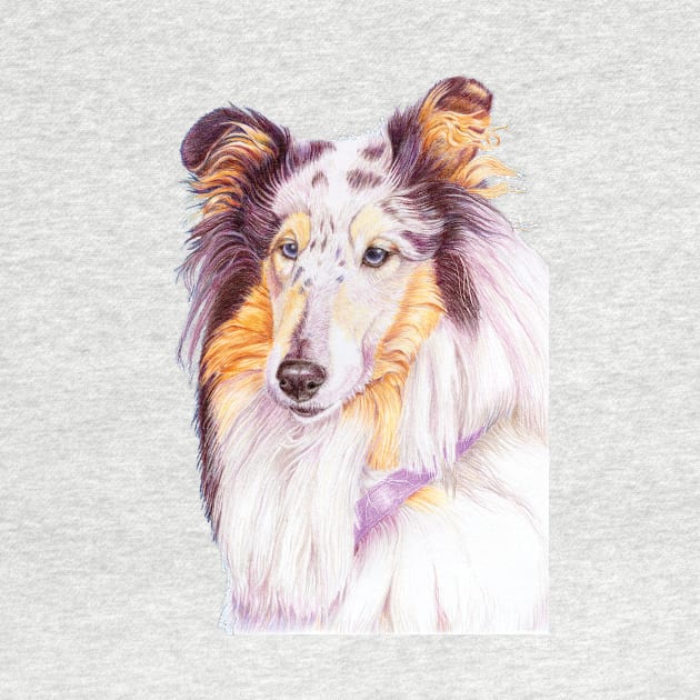 Collie - blue merle by doggyshop